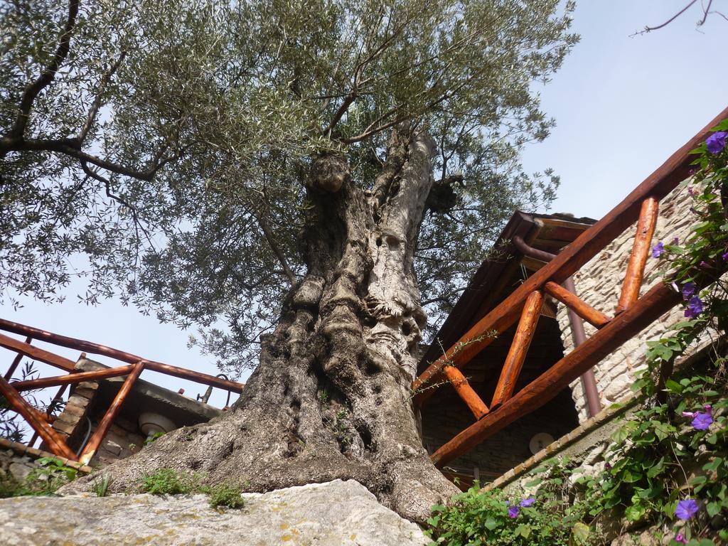 Rocca Del Vento Panzió San Pantaleone Kültér fotó