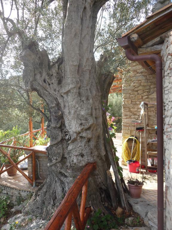 Rocca Del Vento Panzió San Pantaleone Kültér fotó